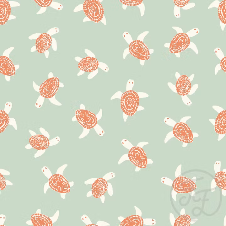 OD- Little Turtle in Sea Mist