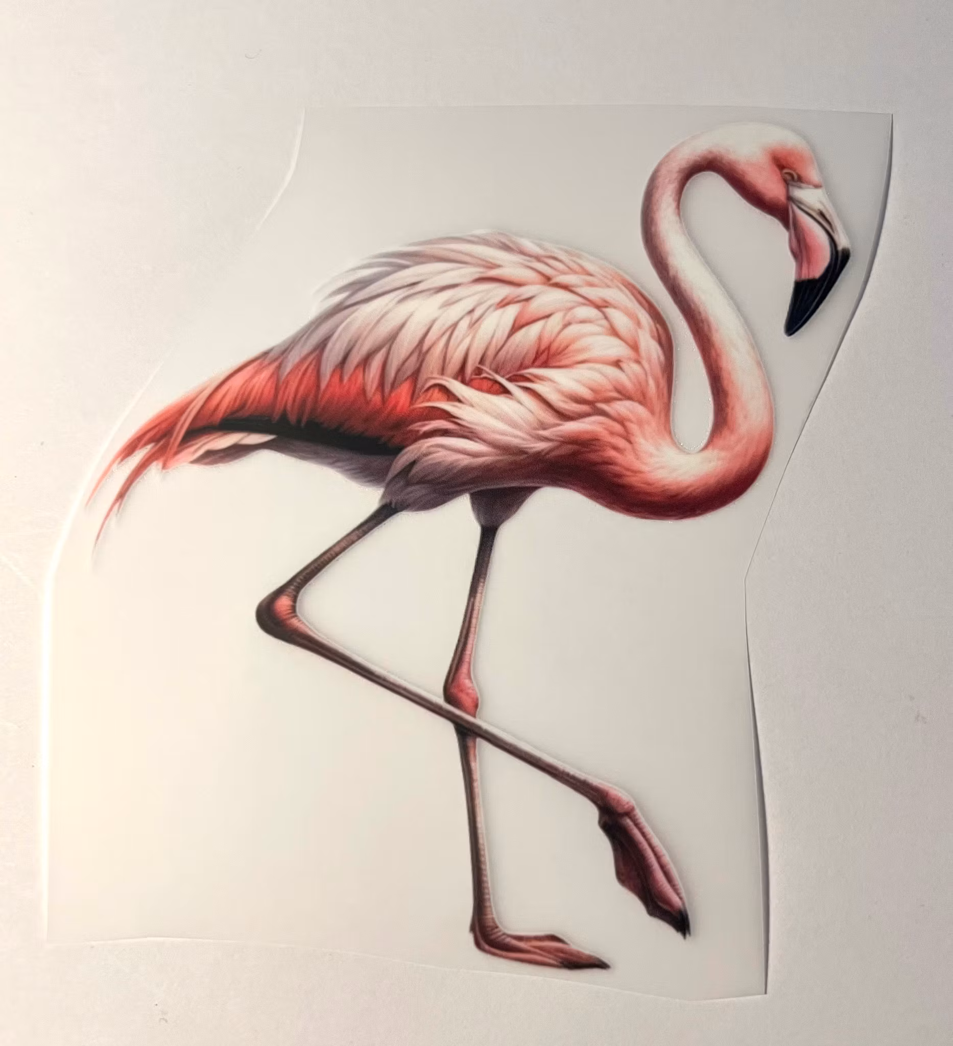 SM flamingo
