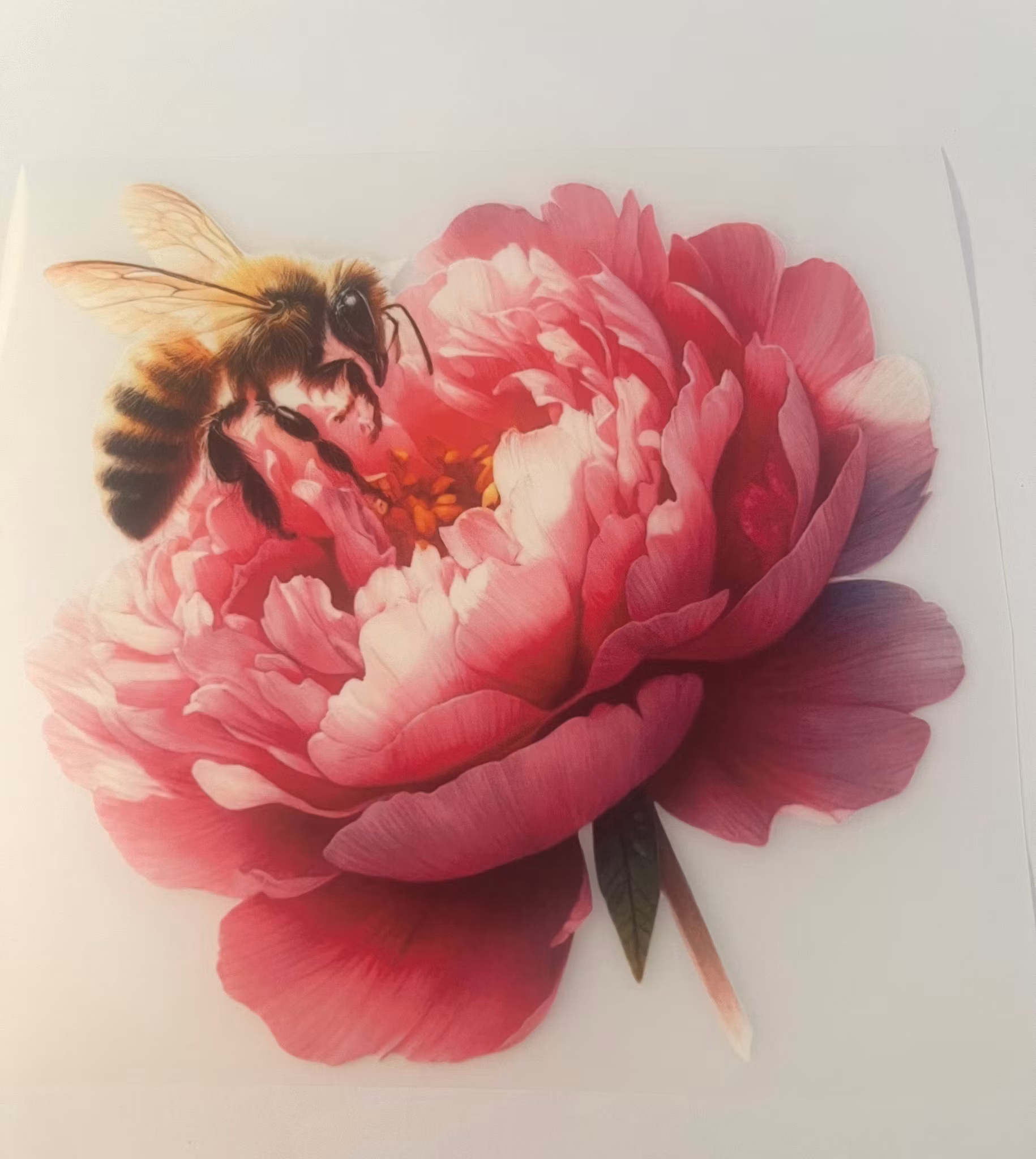 SM peon med bie stor