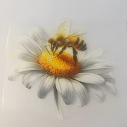 SM prestekrage med bie stor