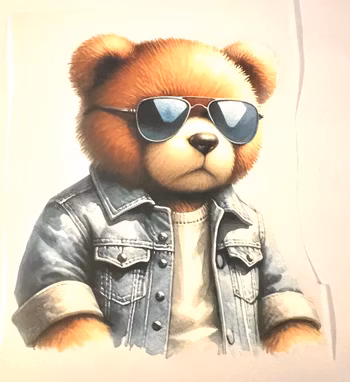 SM my teddy is too cool stor