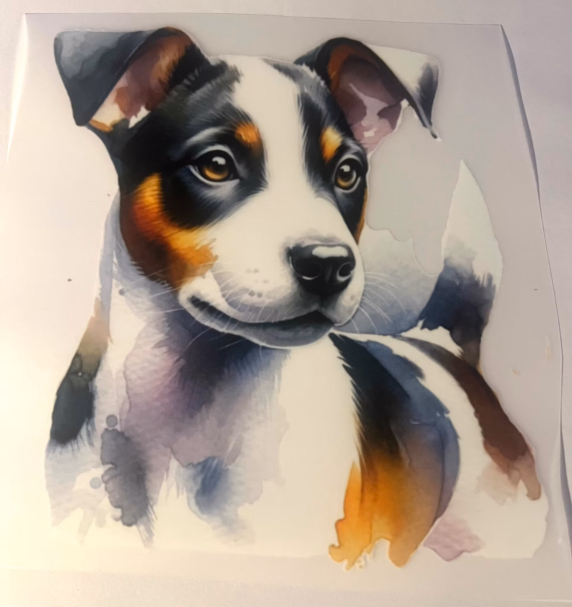 SM dansk svensk gårdshund