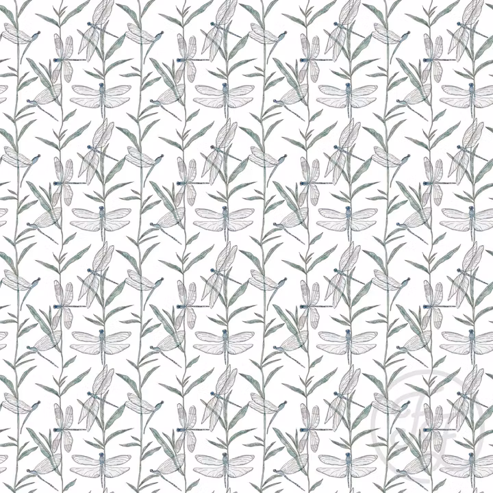 OD- Dragonfly Garden