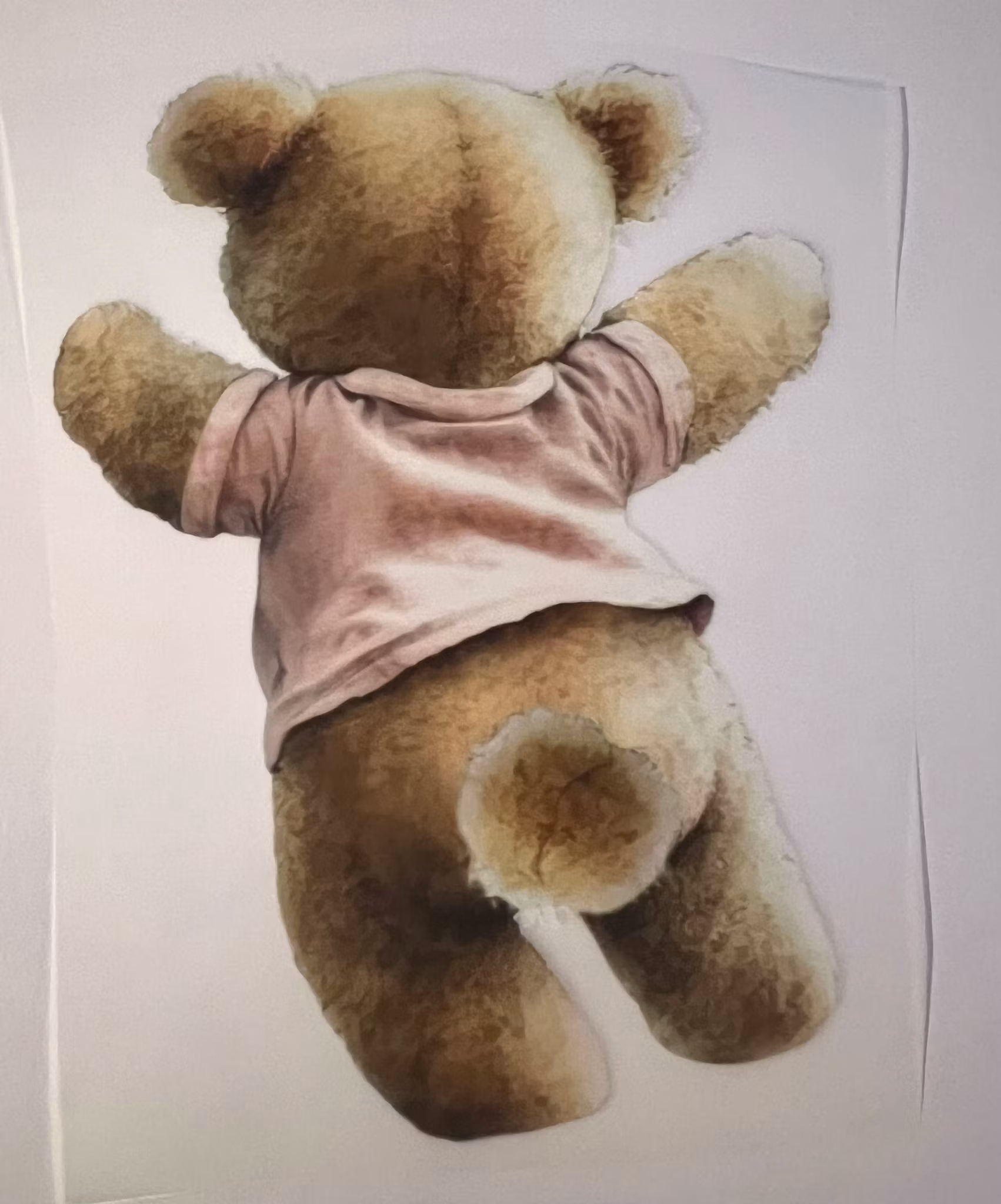 Søt bamse bakfra dft