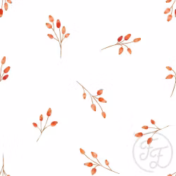 OD- Rosehips White