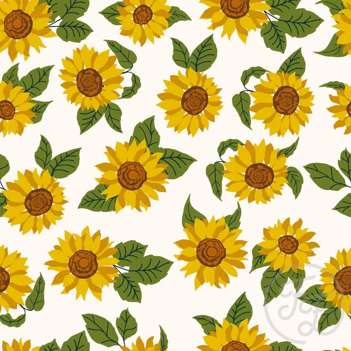 OD- Sunflower Field in White