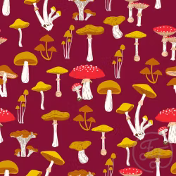 OD- Mushrooms in Wine Red