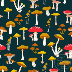 OD- Mushrooms in Gable Green