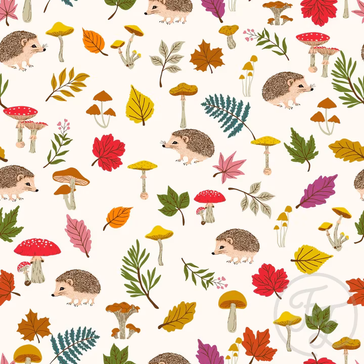 OD- Hedgehogs in White