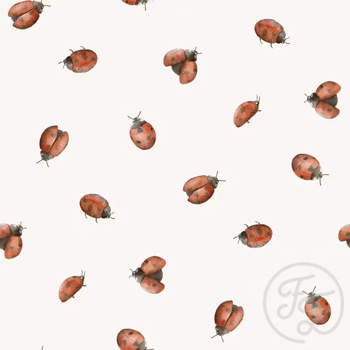 OD- Ladybugs Cecil