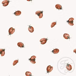OD- Ladybugs Cecil