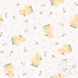 OD- Cute Ducklings