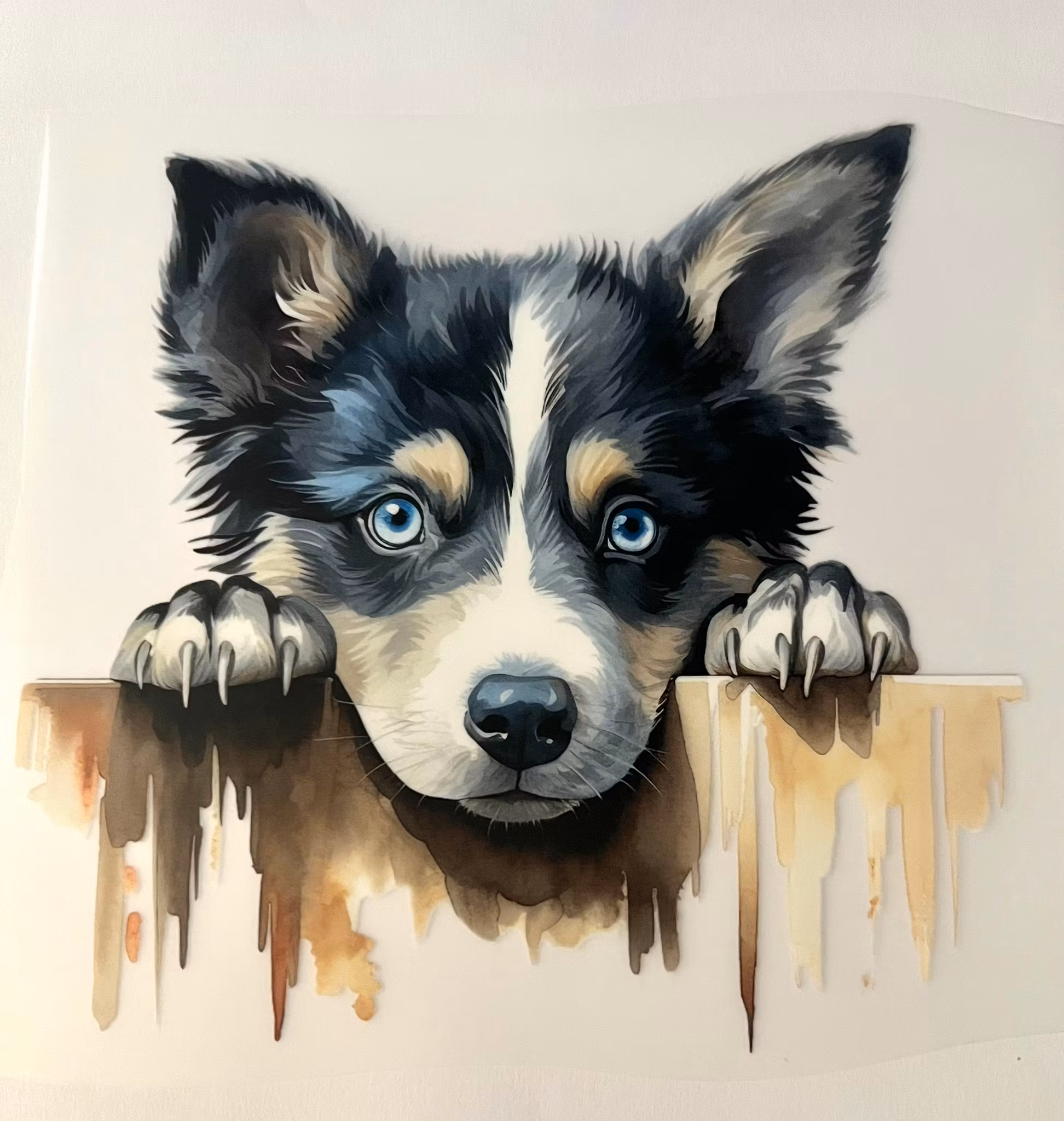 DTF Huskyvalp bak gjerde