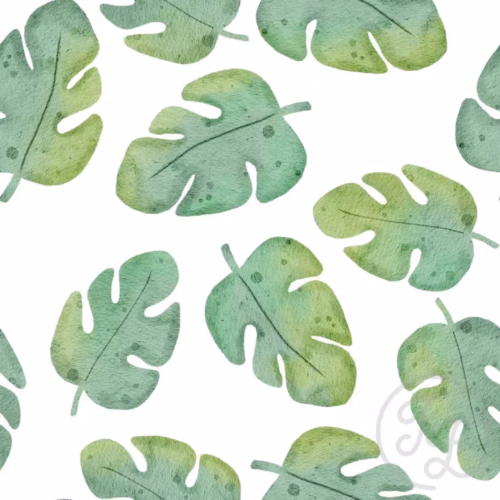 OD- Safari Monstera Big