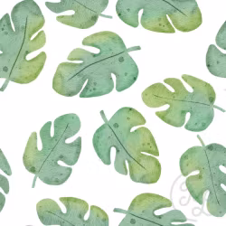 OD- Safari Monstera Big