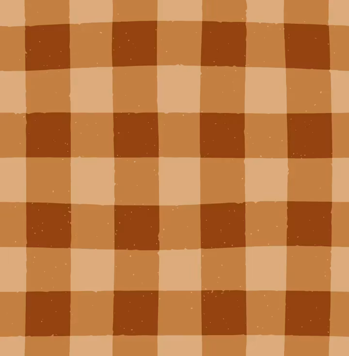 OD- Fall Gingham Orange Medium