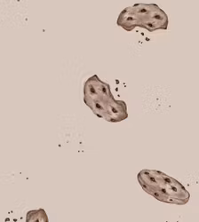 OD - Choco Cookies Cappuccino