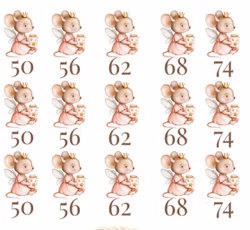 DTF musefrøken med krukke str 50-74