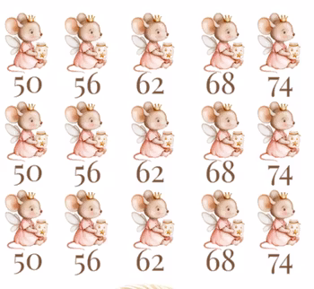 DTF musefrøken med krukke str 50-74