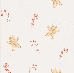 Gingerbread Man and Candy Cane