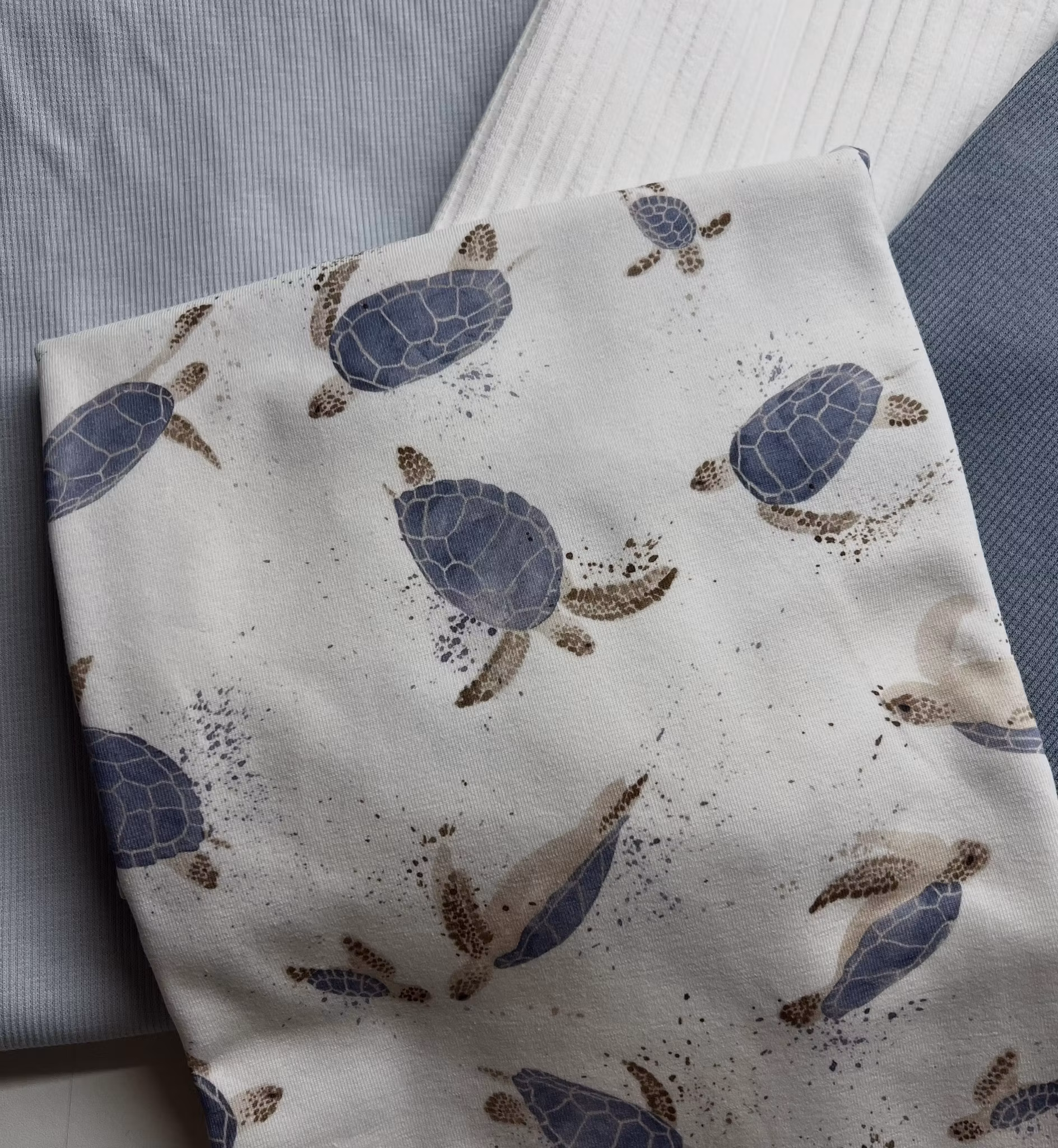 Pakke blue turtle