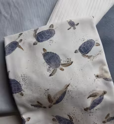 Pakke blue turtle