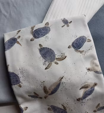 Pakke blue turtle