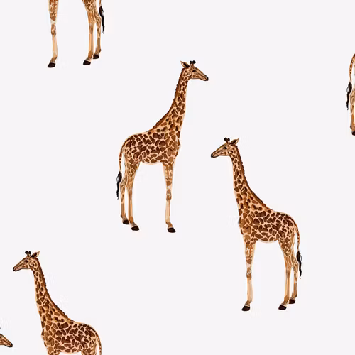 Jersey Giraffes