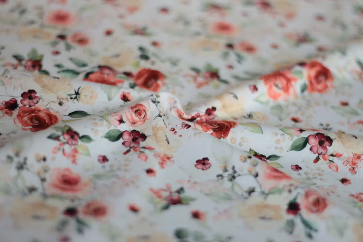 Jersey Rosy