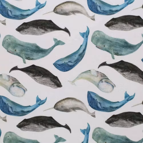Jersey Whales