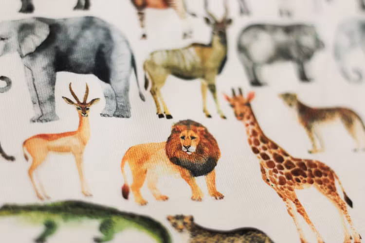 Jersey Safari