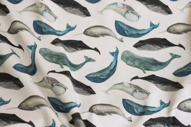 Jersey Whales