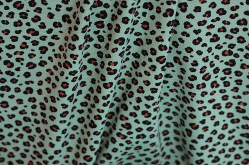 Jersey Leo Light Mint