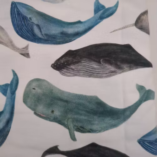 Restbit whales