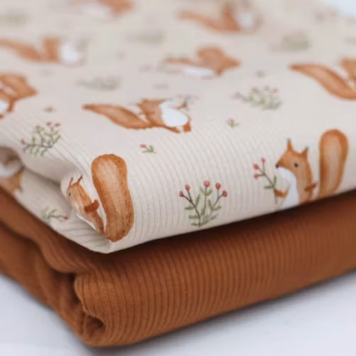 Rib Knit Jersey Squirrels
