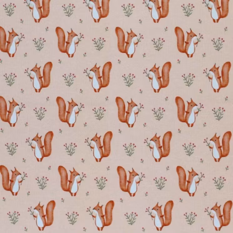 Rib Knit Jersey Squirrels