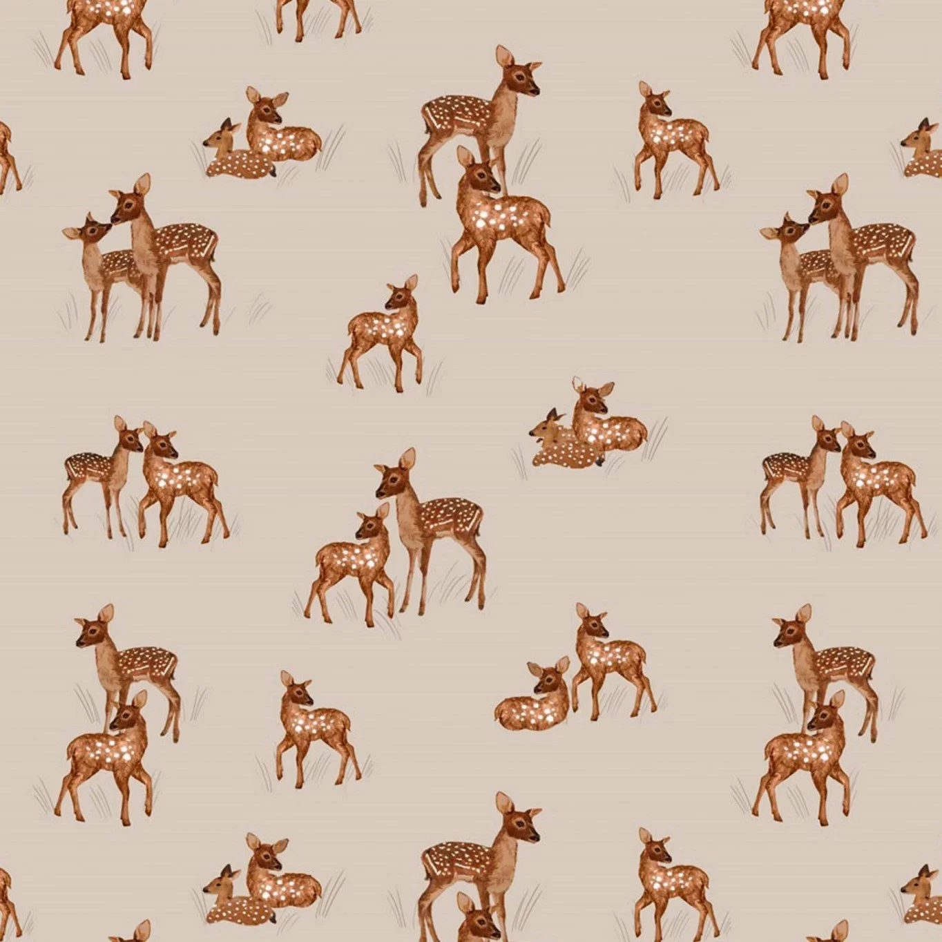 Jersey Deers