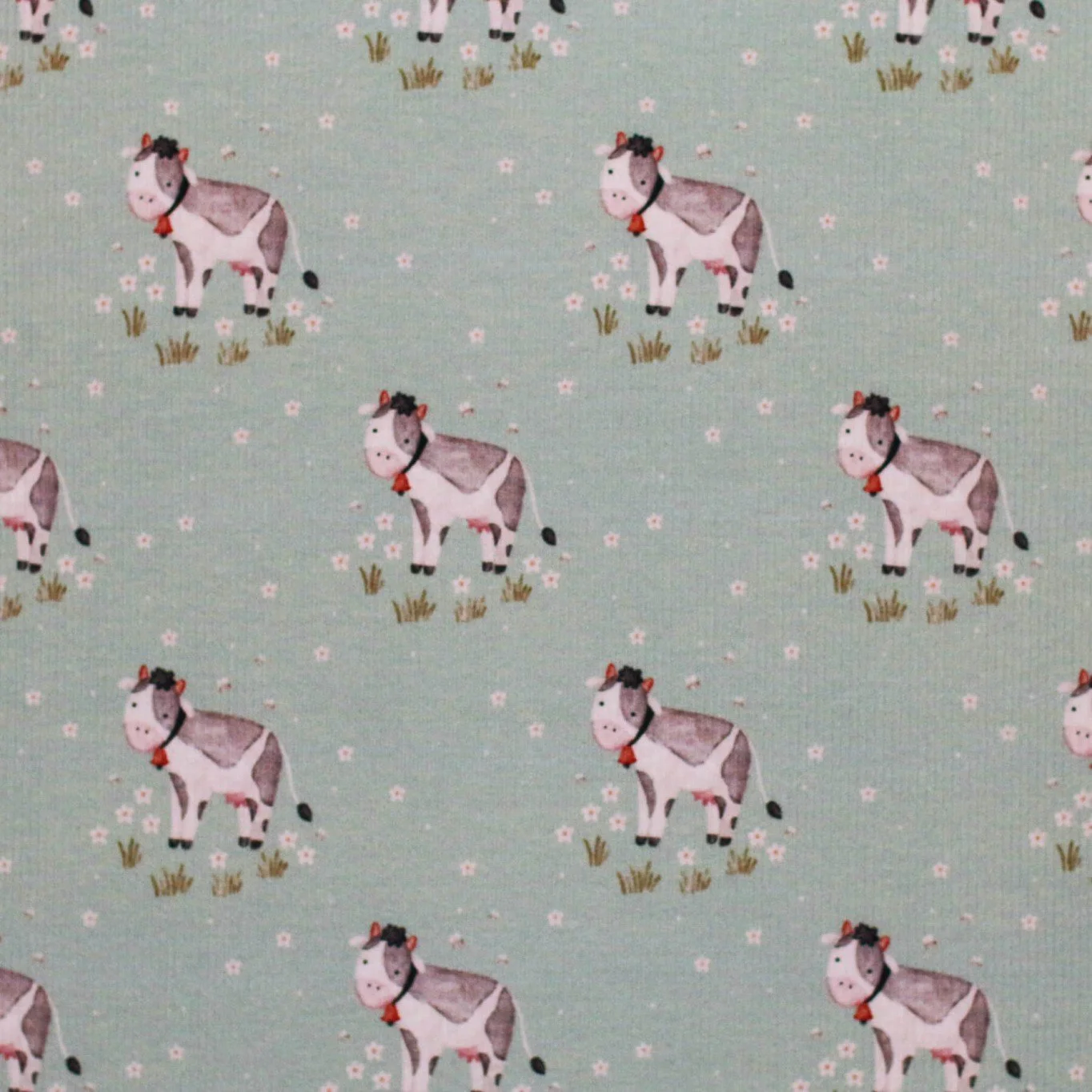 Rib Knit Jersey Kossor