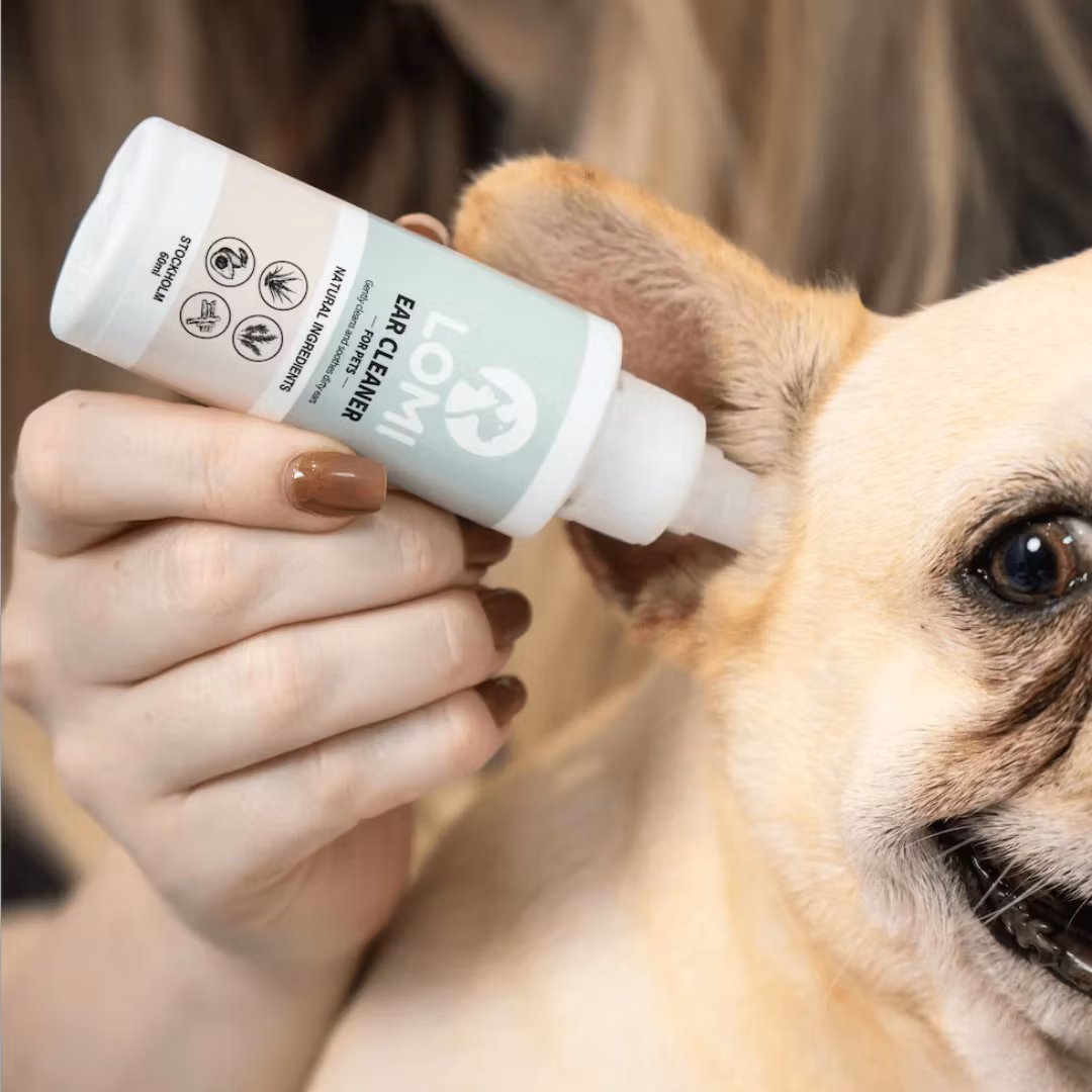 Öronrengöring | Naturlig till Hund | Lomi Petcare