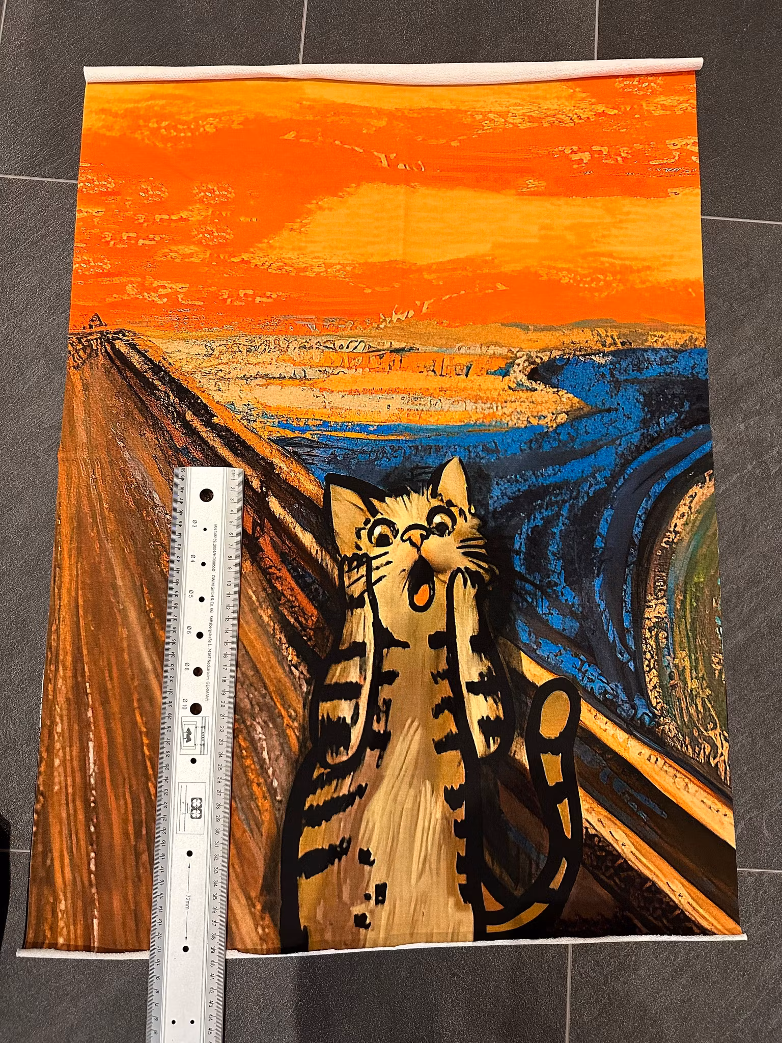 Panel katt College
