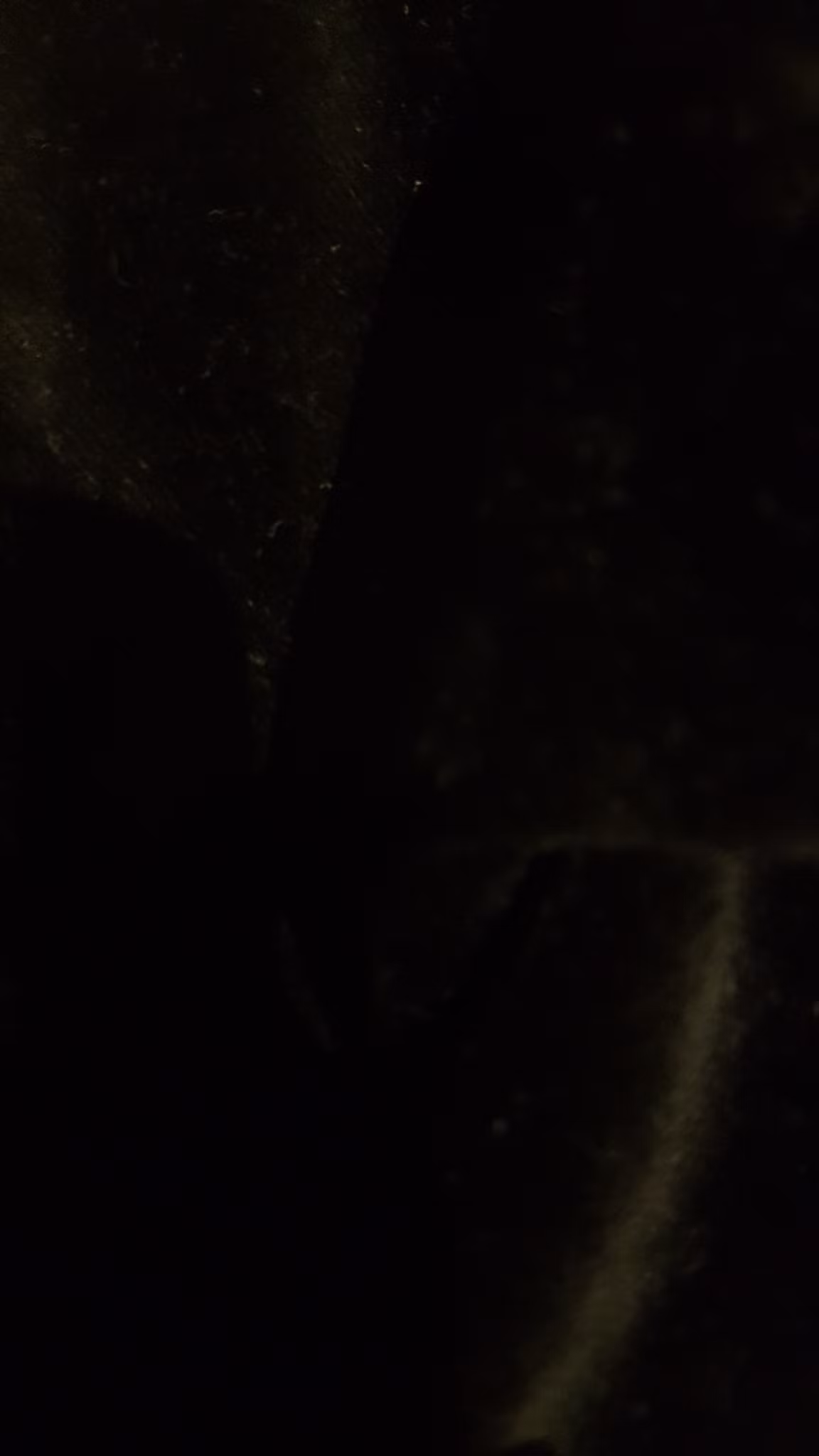Svart Velour