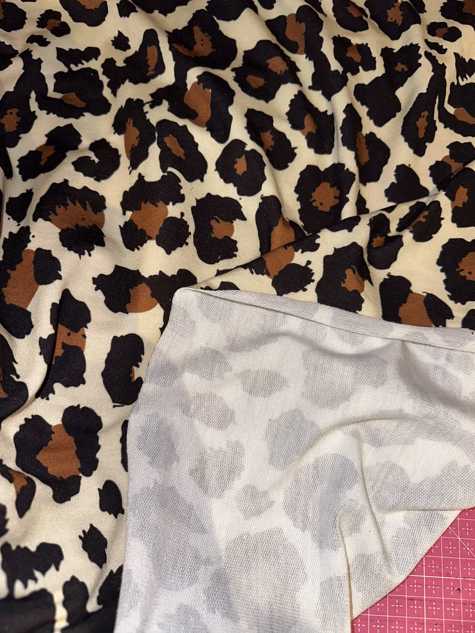 Leo French Terry  OUTLET