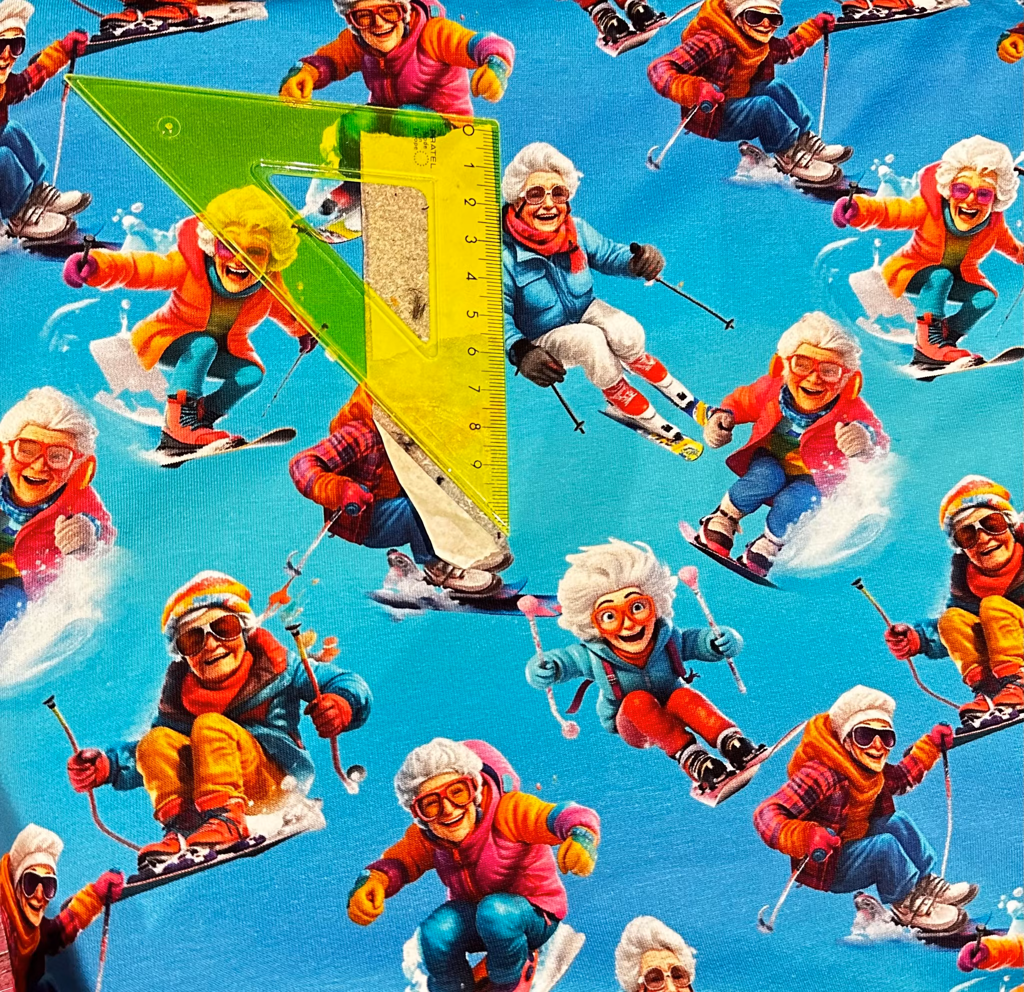 Kärring Skidor 2 College French Terry