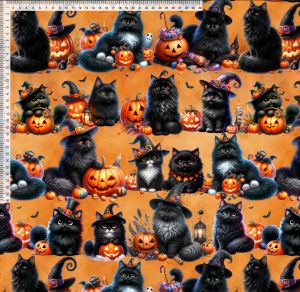 Halloween Pumpa Katt Orange College French Terry