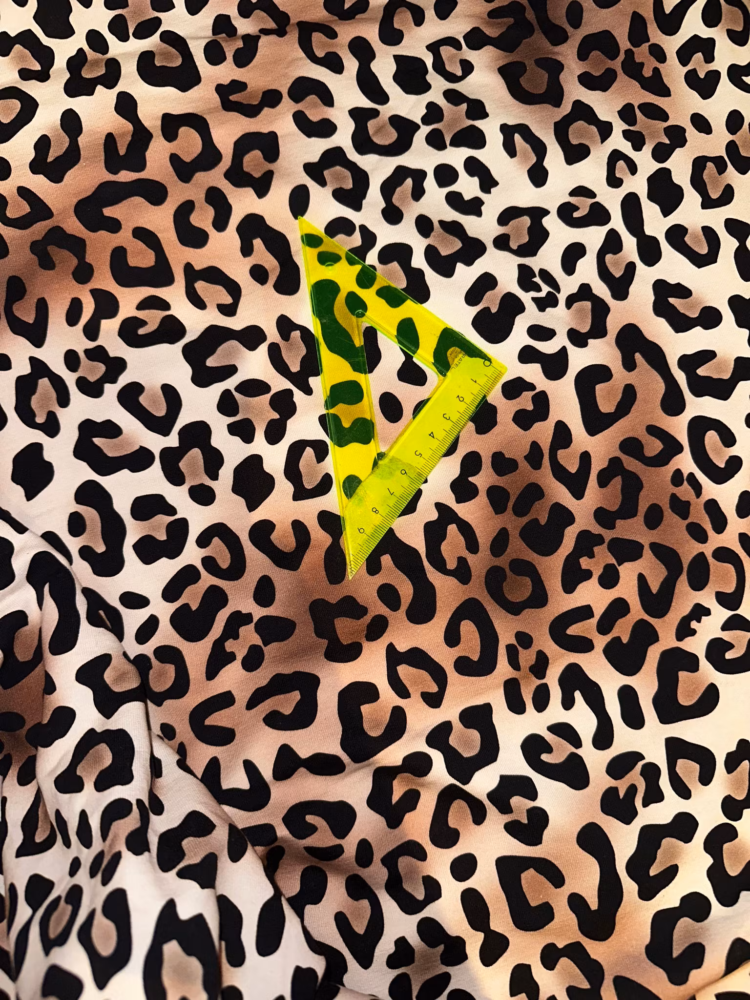 Leopard College French Terry