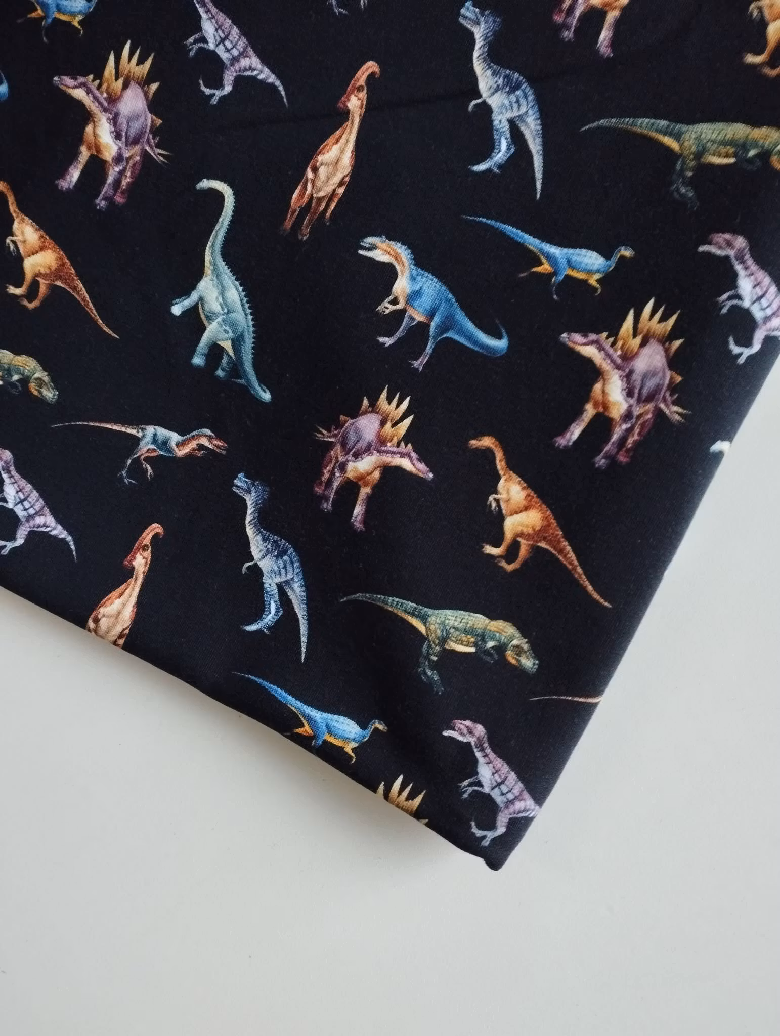 Tyg tyger Dino dinosaurier french terry college öglad baksida