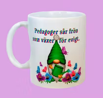 Mugg Pedagog