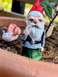 Kruk-tomte