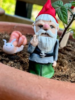 Kruk-tomte