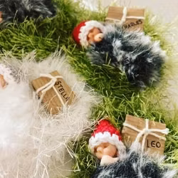 Julgranskula med namn-paket